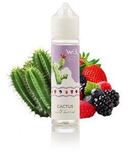 WES Art Cactus 60 мл Премиум жидкость для электронных сигарет 0 мг 3101 фото